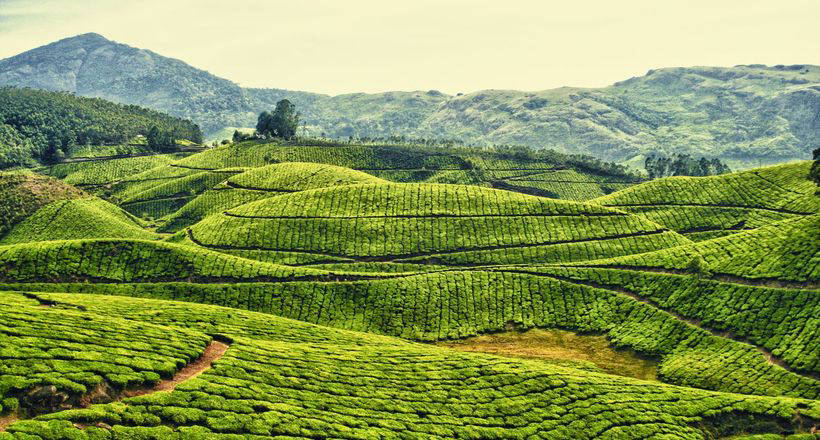 Как древняя цивилизация Индии выживала в условиях засухи