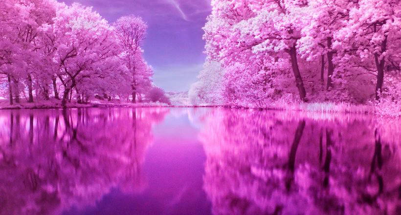 Кто видит мир в розовом цвете