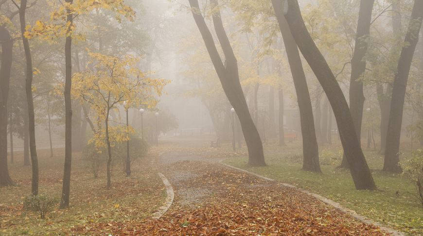 Старинные дома и красивые парки в окрестностях Киева