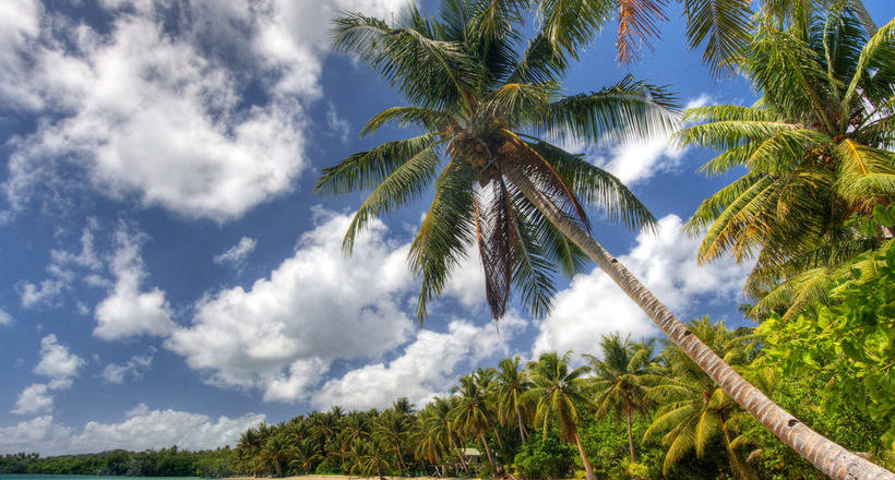 Черно-белый мир: почему на острове Пингелап так много людей, страдающих дальтонизмом