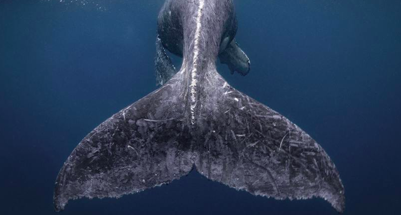 9 шедевральных фото, победивших в конкурсе National Geographic Travel Photographer