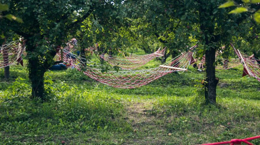 Новое место для отдыха: в Киеве открыли «Парк гамаков»