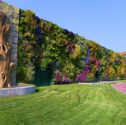 Jardin vertical – recordman