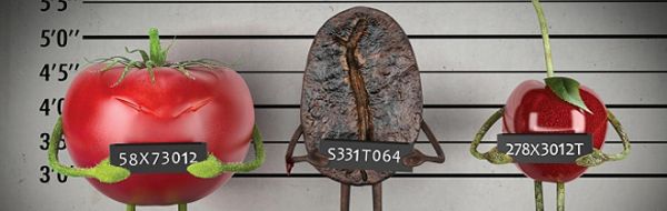 La meilleure publicité du premier semestre de novembre 2012