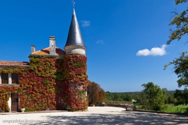 Алкотур в Коньяк