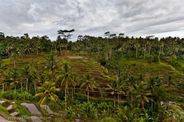 Notes d'un voyageur : Bali