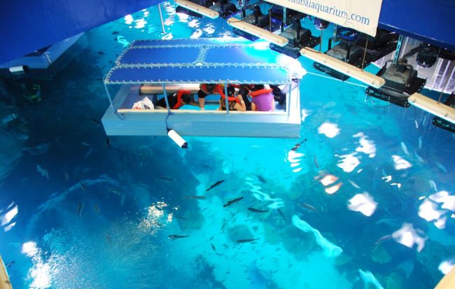 Le plus grand aquarium couvert du monde