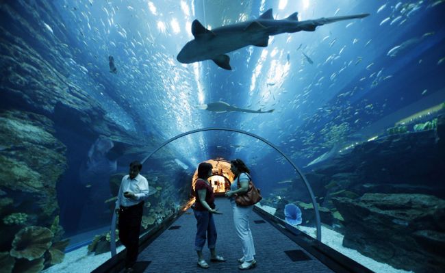Le plus grand aquarium couvert du monde