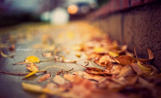 Un fantastique voyage photographique autour du monde avec Ed McGowan