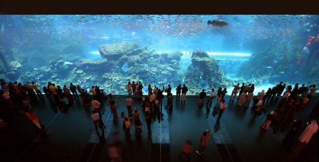 Le plus grand aquarium couvert du monde