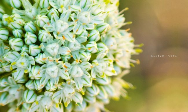 Un fantastique voyage photographique autour du monde avec Ed McGowan