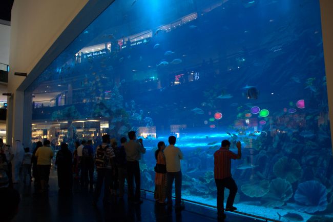 Le plus grand aquarium couvert du monde