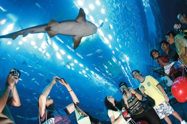 Le plus grand aquarium couvert du monde