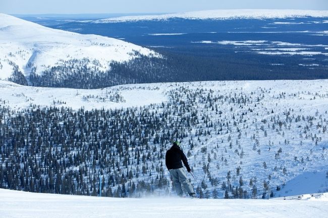 Новогодние праздники: куда податься?