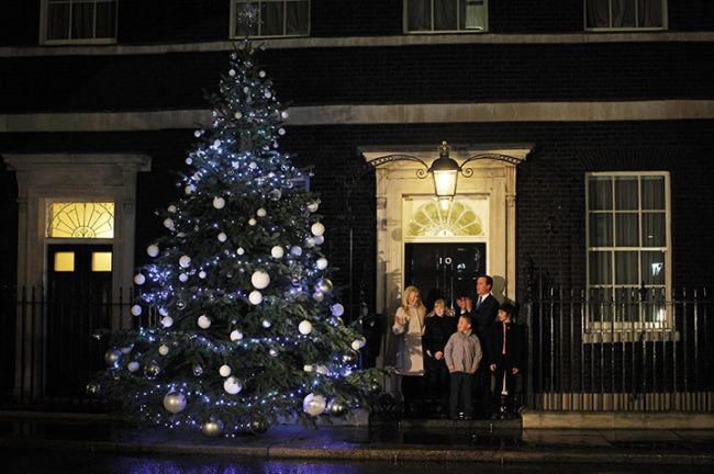 Weihnachtsbäume der Welt