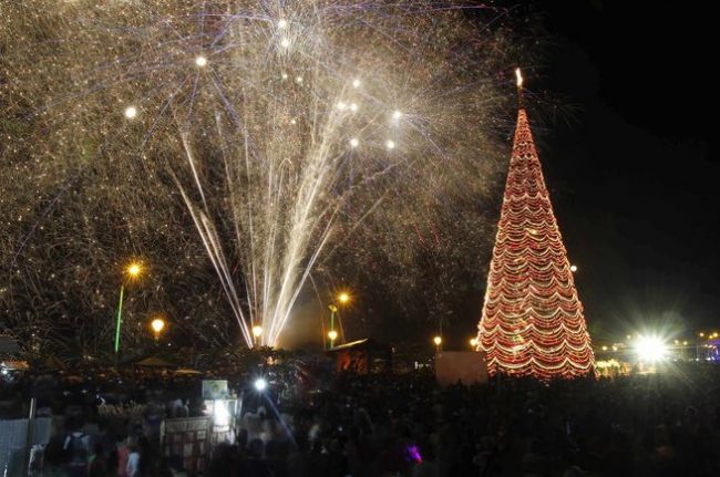 Weihnachtsbäume der Welt