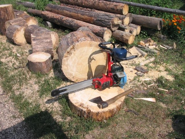 Datos interesables sobre la amistad