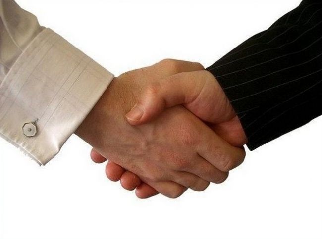 Datos interesantes sobre la amistad