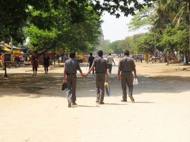 Datos interesantes sobre la amistad