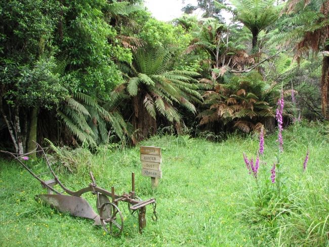 Міст в нікуди в Новій Зеландії