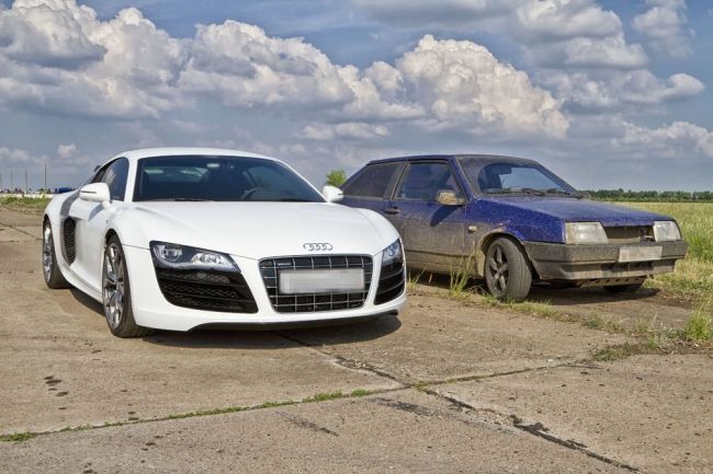 Datos interesantes sobre la amistad