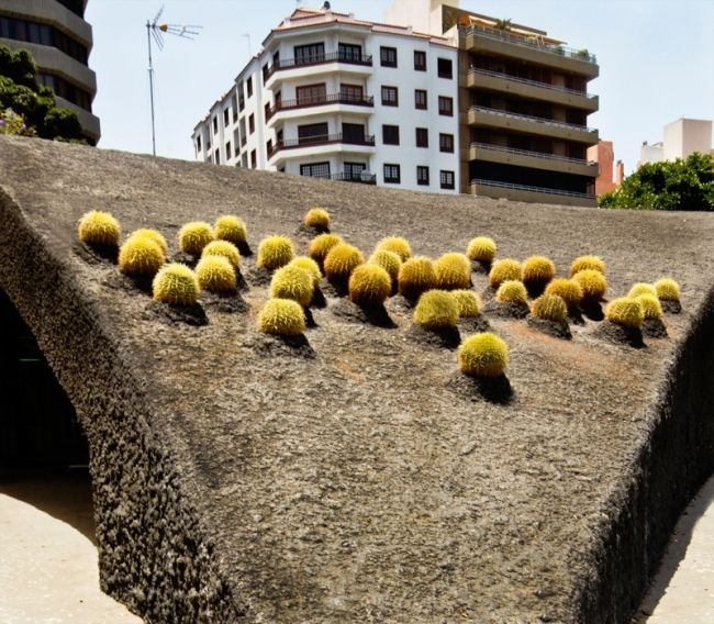 Победители фотоконкурса «International Garden Photographer of the Year»: часть вторая