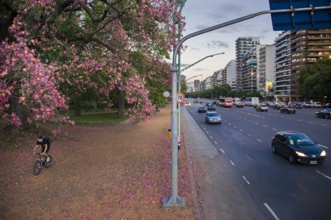 Победители фотоконкурса «International Garden Photographer of the Year»: часть вторая