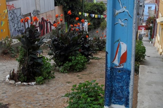 Победители фотоконкурса «International Garden Photographer of the Year»: часть вторая