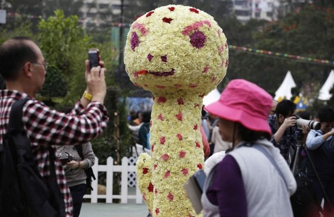 Фестиваль цветов в Гонконге «Hong Kong Flower Show 2013»