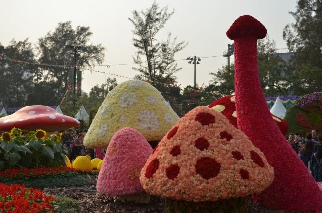 Фестиваль цветов в Гонконге «Hong Kong Flower Show 2013»
