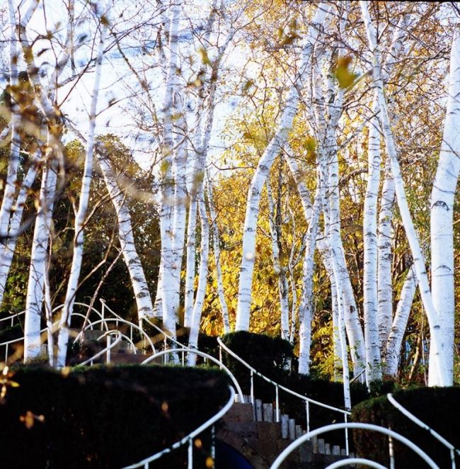 Переможці фотоконкурсу & laquo; International Garden Photographer of the Year & raquo ;: частина перша