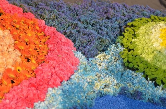 Фестиваль цветов в Гонконге «Hong Kong Flower Show 2013»