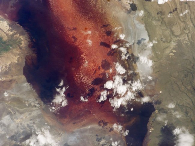 Червоно-рожеве озеро Натрон в Танзанії