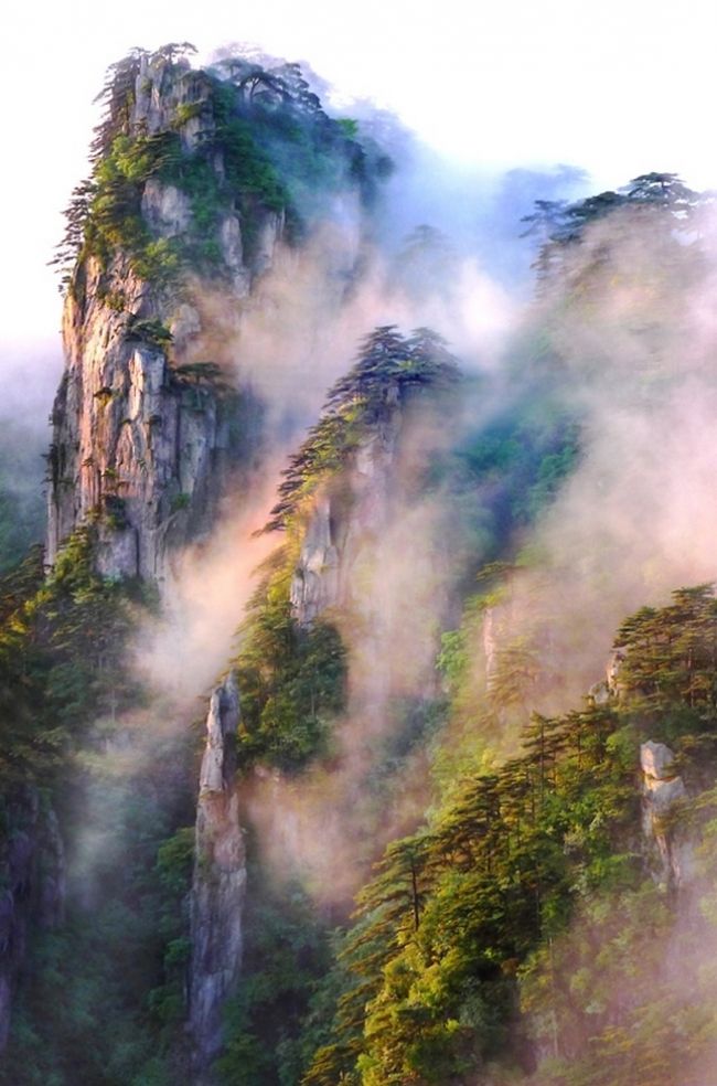 Переможці фотоконкурсу & laquo; International Garden Photographer of the Year & raquo ;: частина перша