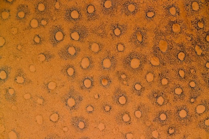 Mysterious circles in the Namib desert