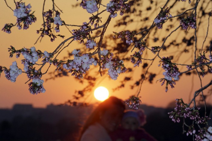 Все знаки весни