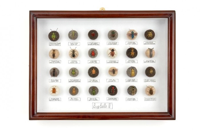 Felted insects Claire Moynihan