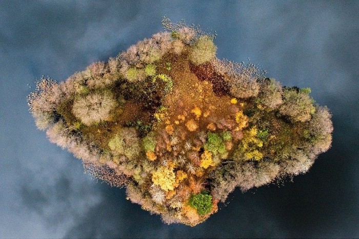 Польские леса осенью в фотографиях Каспера Ковальски (Kacper Kowalski)