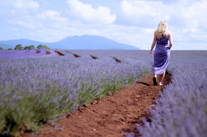 Нові роботи учасників фотоконкурсу & laquo; National Geographic Traveler Photo 2013 & raquo;