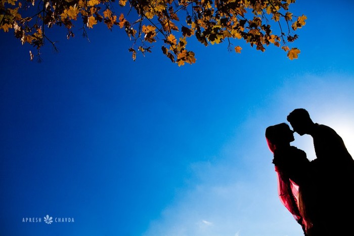 Особливості індійської весілля в роботах Апреша Чавда (Apresh Chavda)