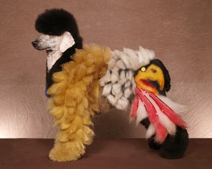 Экстремальные питомцы