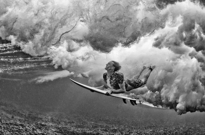 The best works of the photo contest