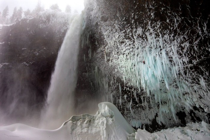 The best works of the photo contest