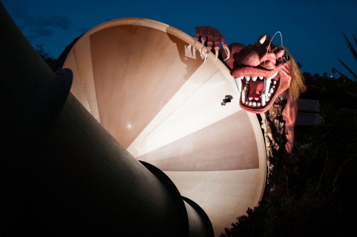 The best works of the photo contest