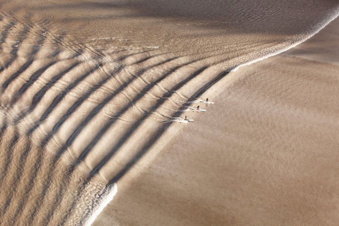 The best works of the photo contest