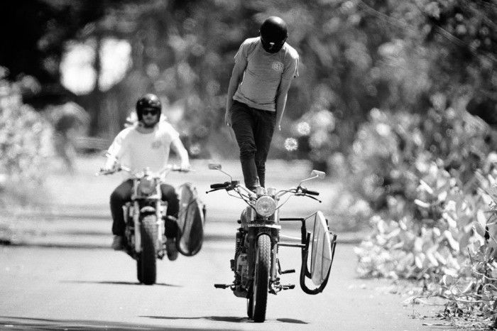 The best works of the photo contest