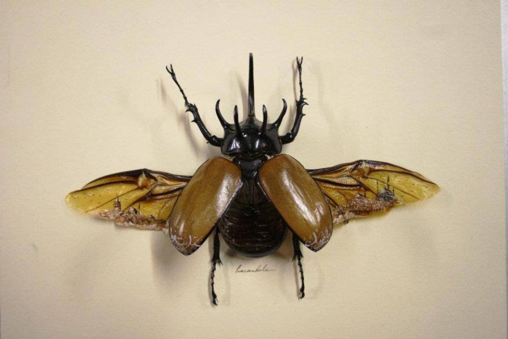 Хасан Кале (Hasan Kale) - мастер внедрения миниатюрного рисунка