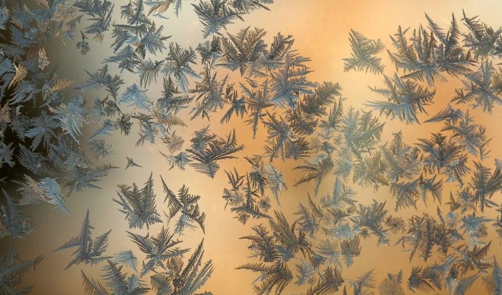 Мороз на стекле: цветочные узоры