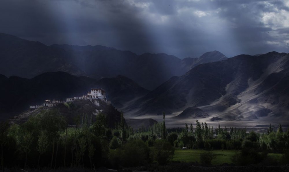 Усі фіналісти фотоконкурсу від & laquo; Smithsonian Magazine & raquo;