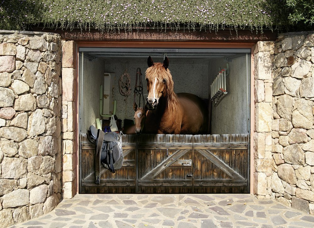 Adhesivos originales para puertas de garaje